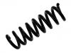 Fahrwerksfeder Coil Spring:211 324 07 04