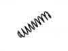 Coil Spring:211 321 17 04