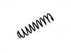 Muelle de chasis Coil Spring:211 321 19 04