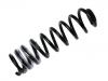 Coil Spring:414 324 05 04