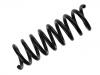 Fahrwerksfeder Coil Spring:202 324 17 04