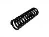 Coil Spring:202 321 03 04