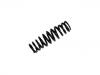 Fahrwerksfeder Coil Spring:129 324 05 04