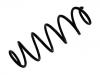 Coil Spring:169 324 34 04