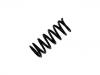 Muelle de chasis Coil Spring:MB176305