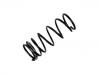 Fahrwerksfeder Coil Spring:55020-VB902