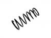 Coil Spring:54010-0W002