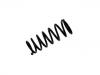 Ressort hélicoidal Coil Spring:55020-8F815