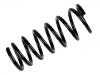 Coil Spring:55020-2F016