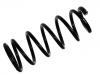 Fahrwerksfeder Coil Spring:55020-3M513