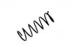 Fahrwerksfeder Coil Spring:54010-0M005