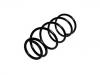 Ressort hélicoidal Coil Spring:54010-6M074