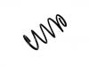 Fahrwerksfeder Coil Spring:REB000480