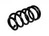 Fahrwerksfeder Coil Spring:GSV 1034