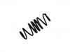 Coil Spring:454 324 0904