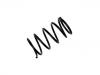 Muelle de chasis Coil Spring:20382-AA140