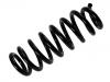 Fahrwerksfeder Coil Spring:41311-64J00