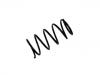 Muelle de chasis Coil Spring:41311-59J60