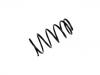 Fahrwerksfeder Coil Spring:41311-54G70