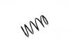 Fahrwerksfeder Coil Spring:41111-80E30