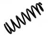 Fahrwerksfeder Coil Spring:48231-0F010