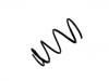 Fahrwerksfeder Coil Spring:48131-42031