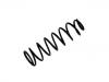 Muelle de chasis Coil Spring:48131-6A510