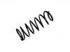 Muelle de chasis Coil Spring:48231-60250