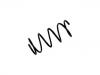 Fahrwerksfeder Coil Spring:48131-2S390