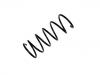 Coil Spring:48131-2P230