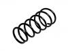 венцивидная пружина Coil Spring:48231-2G280