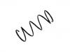 Muelle de chasis Coil Spring:48131-1N300