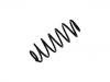 Fahrwerksfeder Coil Spring:48231-0D020