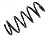 Coil Spring:312 253