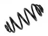 Coil Spring:424 091