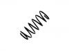 Fahrwerksfeder Coil Spring:90444716