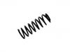 Fahrwerksfeder Coil Spring:4A5 511 115