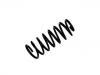 Muelle de chasis Coil Spring:4A9 511 115 N