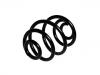 Coil Spring:46 47 509