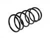 Fahrwerksfeder Coil Spring:5002.96