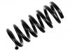 венцивидная пружина Coil Spring:281 411 105 D