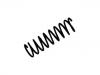 Fahrwerksfeder Coil Spring:48131-87220-000