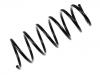 Fahrwerksfeder Coil Spring:77 00 816 107