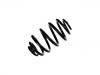 Muelle de chasis Coil Spring:90487522