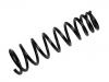 Fahrwerksfeder Coil Spring:60668249