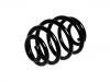 Fahrwerksfeder Coil Spring:44 83 368