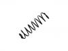 Fahrwerksfeder Coil Spring:50 56 908