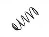 Fahrwerksfeder Coil Spring:5002.F4