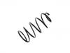 Fahrwerksfeder Coil Spring:60618686