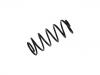 Fahrwerksfeder Coil Spring:44 83 202